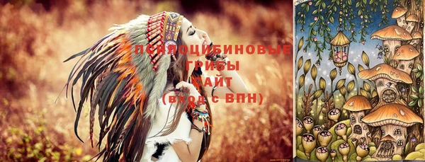 jwh Аркадак