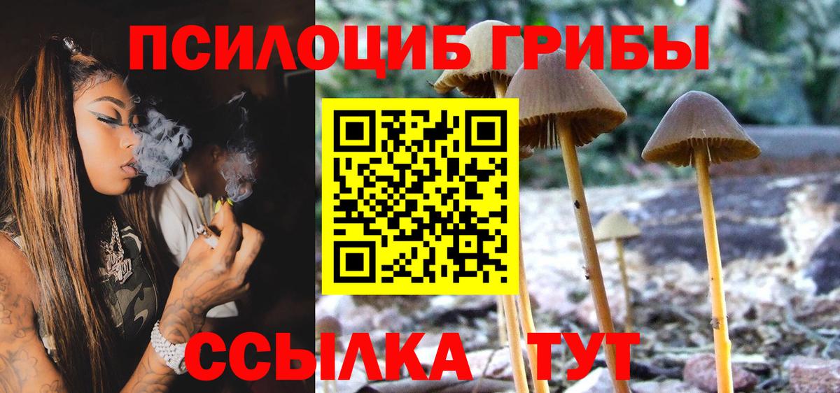 Галлюциногенные грибы Psilocybe Учалы