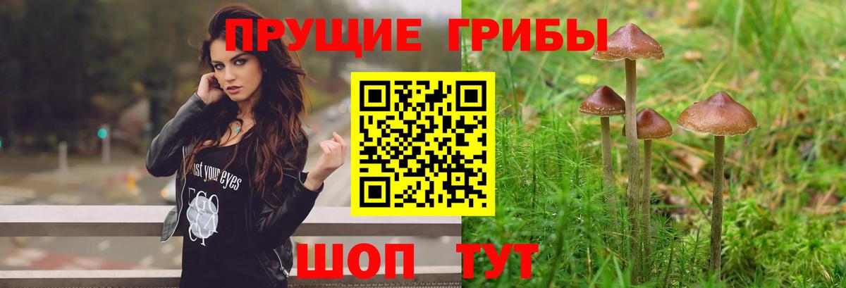 хочу наркоту  Вход с VPN  Учалы  Галлюциногенные грибы ЛСД 